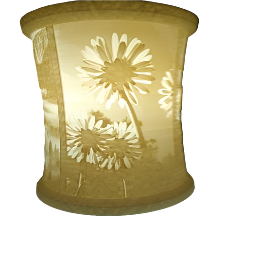 Custom 3D Printed Lithophane Lamp
